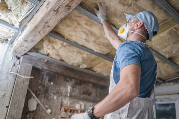 Best Energy Efficiency Insulation in Ackerman, MS
