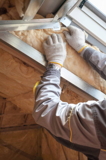 Best Spray Foam Insulation in Ackerman, MS