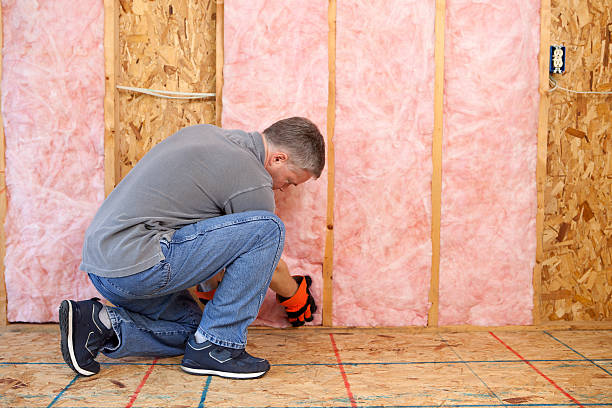 Best Specialized Insulation Services in Ackerman, MS