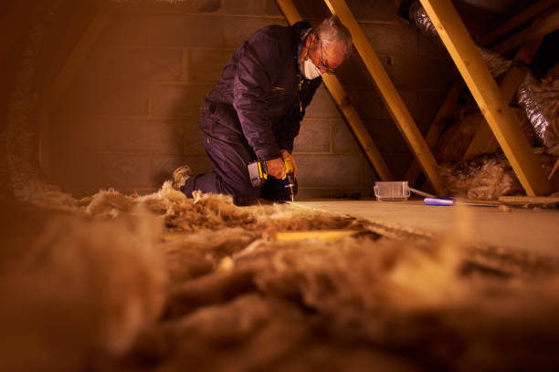 Best Eco-Friendly Insulation in Ackerman, MS